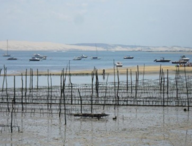  Canoe Lege Cap Ferret spot 